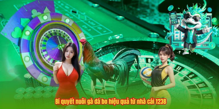 Bí quyết nuôi gà đá bo hiệu quả từ nhà cái 123B