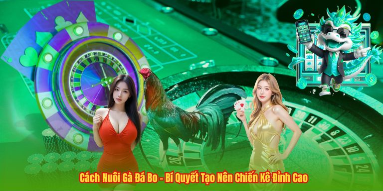 Cách Nuôi Gà Đá Bo – Bí Quyết Tạo Nên Chiến Kê Đỉnh Cao